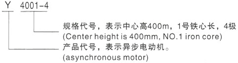 西安泰富西玛Y系列(H355-1000)高压舒城三相异步电机型号说明